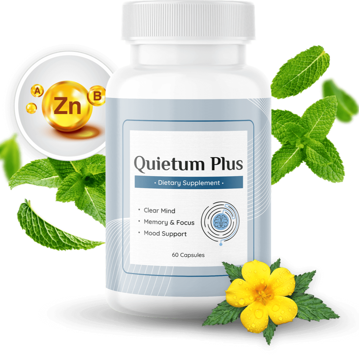 quietum plus hearing supplement